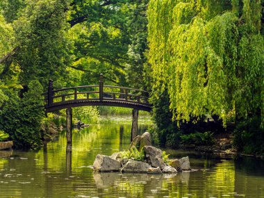 Bereketli yeşil bitki örtüsü ve sarmaşık kaplı ağaçlarla çevrili, huzurlu bir göletin üzerinde uzanan ahşap bir köprünün yer aldığı sakin bir manzara huzur verici ve cennet gibi doğal bir ortam yaratıyor.