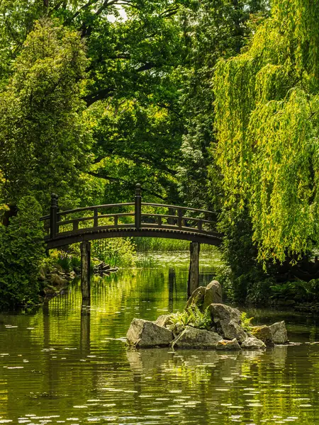 Bereketli yeşil bitki örtüsü ve sarmaşık kaplı ağaçlarla çevrili, huzurlu bir göletin üzerinde uzanan ahşap bir köprünün yer aldığı sakin bir manzara huzur verici ve cennet gibi doğal bir ortam yaratıyor.