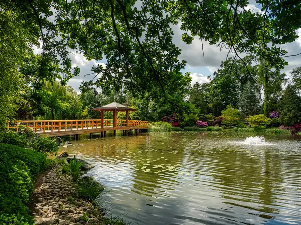 Ahşap bir çardağı, yemyeşil bir havuzu ve dingin bir göleti olan huzurlu bir Japon bahçesi. Huzur ve ahengi yayarak meditasyon ve rahatlama için mükemmel bir ortam oluşturuyor.