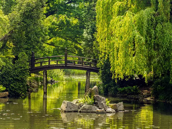 Bereketli yeşil bitki örtüsü ve sarmaşık kaplı ağaçlarla çevrili, huzurlu bir göletin üzerinde uzanan ahşap bir köprünün yer aldığı sakin bir manzara huzur verici ve cennet gibi doğal bir ortam yaratıyor.