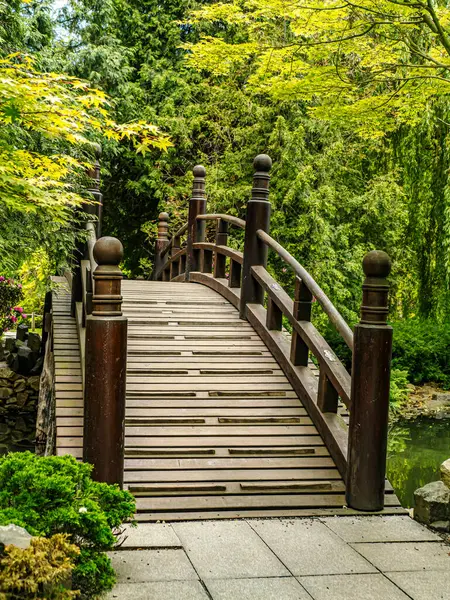 Huzurlu, ahşap bir köprü. Etrafı yemyeşil yeşilliklerle ve huzurlu bir ortamda canlı doğal bir manzarayla çevrili.