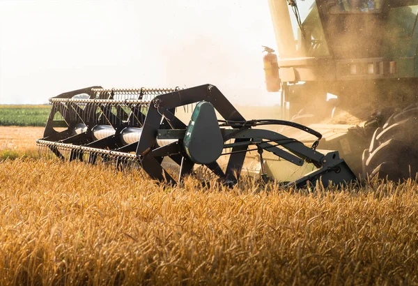 Harvester Working Wheatfield Sunset Harvest Ripe Wheat Agriculture Farming — Stok Foto