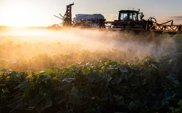 Traktor Rozprašuje Pesticidy Rostlinném Poli Postřikovačem Jaře — Stock fotografie
