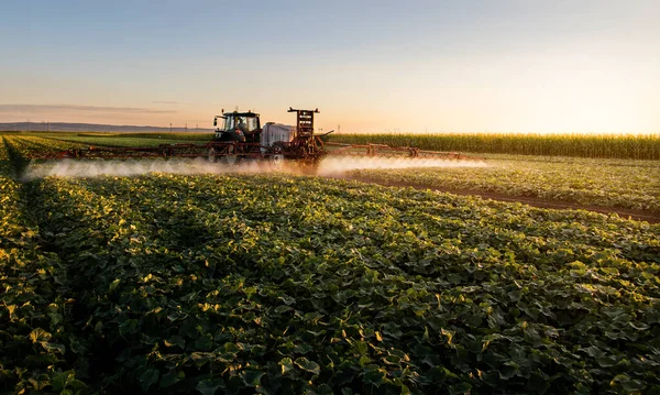 Tractor Pulverización Pesticidas Campo Vegetal Con Pulverizador Primavera —  Fotos de Stock