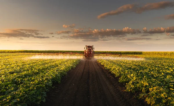 Tracteur Pulvérisation Pesticides Sur Les Champs Légumes Avec Pulvérisateur Printemps — Photo