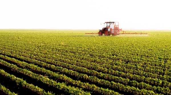 Пестициды Трактора Соевом Поле Распылителем Весной — стоковое фото