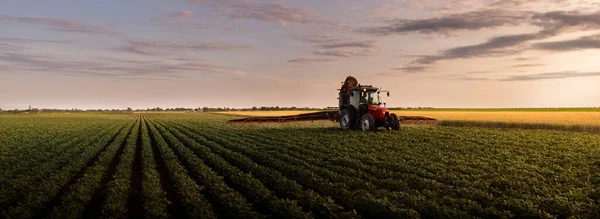 春の大豆畑に噴霧器で農薬を散布トラクター — ストック写真
