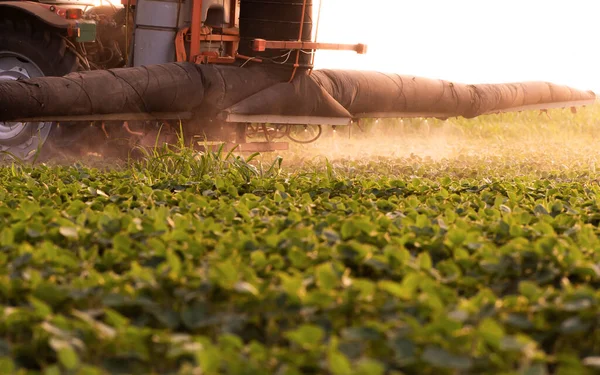 Traktor Penyemprotan Pestisida Lahan Kedelai Dengan Penyemprot Musim Semi — Stok Foto