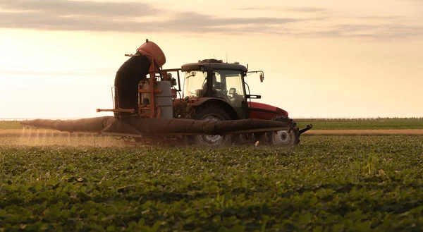 Трактор Обприскування Пестицидів Соєвому Полі Розпилювачем Навесні — стокове фото