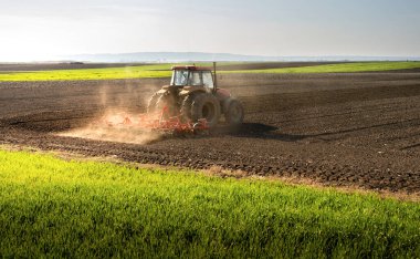 Çiftçi bahara hazır bir traktörle tarlasını hazırlıyor..