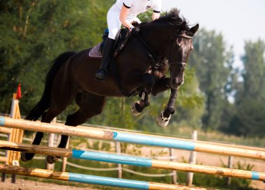 Jockey bir engel de rekabet atlar.. 