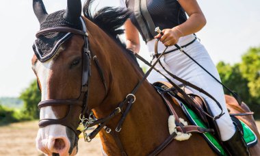 Güzel genç bayan jokey açık havada at üstünde.