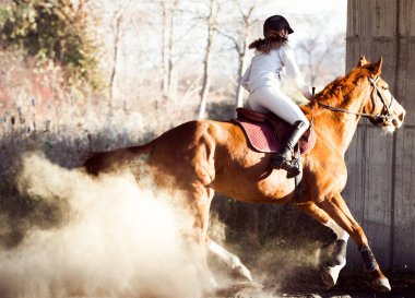 Genç bir kadın ata biniyor 
