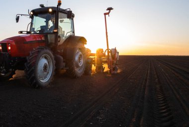 Traktör tohumu olan çiftçi - ilkbaharda tarım tarlalarına ekin ekiyor.