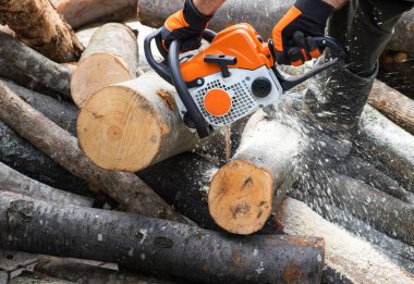 worker cuts firewood with a chainsaw