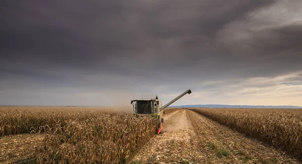 Połączyć Kombajn Zbioru Kukurydzy Zmierzchu — Zdjęcie stockowe