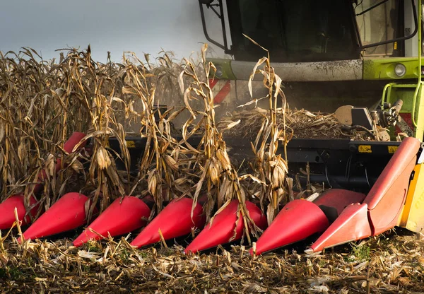 Combine Harvester Harvesting Corn Twilight — Stock Photo, Image