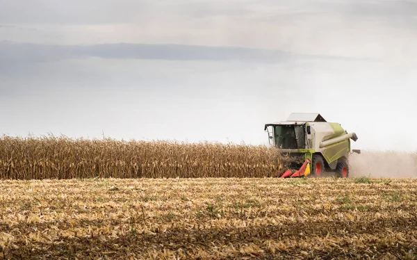 Combine Harvester Harvesting Corn Twilight — Stock Photo, Image