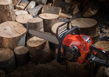 Modern chain saw and  firewood,closeup