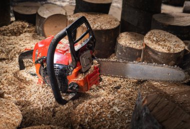 Modern chain saw and  firewood,closeup