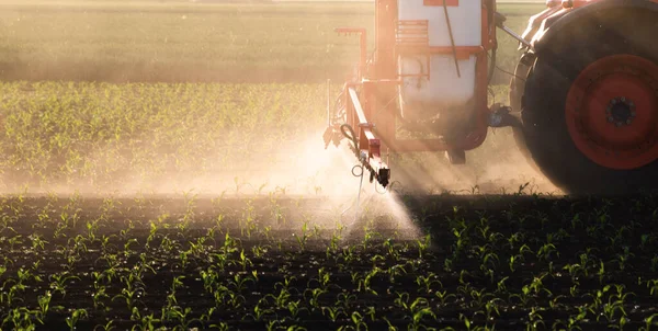 Пестициды Трактора Кукурузном Поле Распылителем Весной — стоковое фото