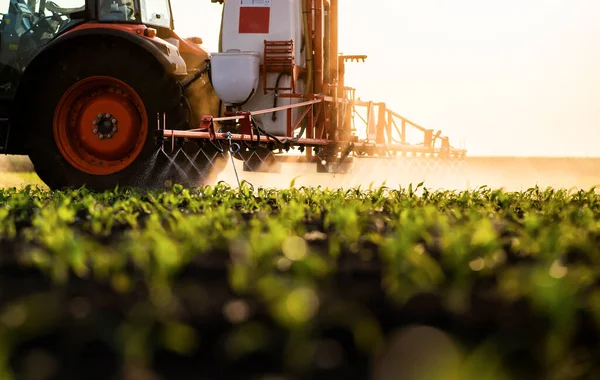 Tractor Rociando Pesticidas Campo Maíz Con Pulverizador Primavera — Foto de Stock