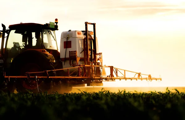 Трактор Обприскування Пестицидів Кукурудзяному Полі Розпилювачем Навесні — стокове фото