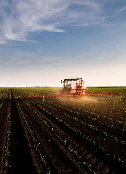春にはトウモロコシ畑に散布するトラクター — ストック写真