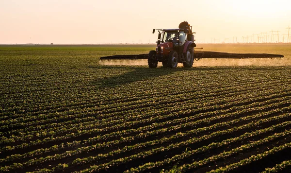 Pulvérisation Pesticides Par Tracteur Sur Champ Soja Avec Pulvérisateur Printemps — Photo
