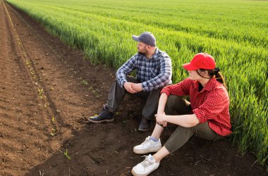 İlkbaharda ekilen buğdayı inceleyen genç çiftçiler