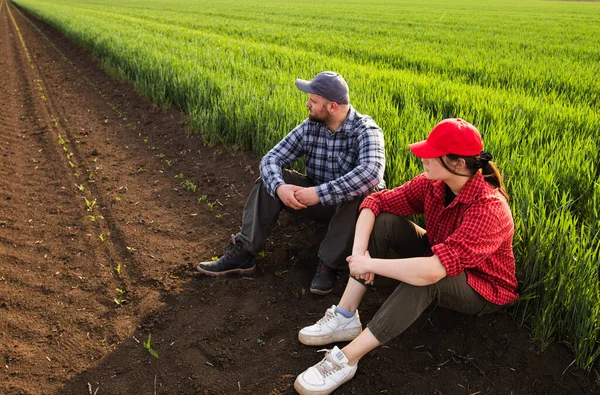Jovens Agricultores Que Examinam Trigo Jovem Plantado Primavera — Fotografia de Stock