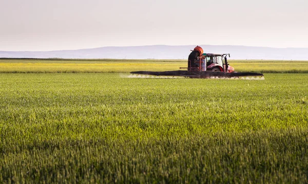 Пестициды Трактора Над Зеленым Полем — стоковое фото