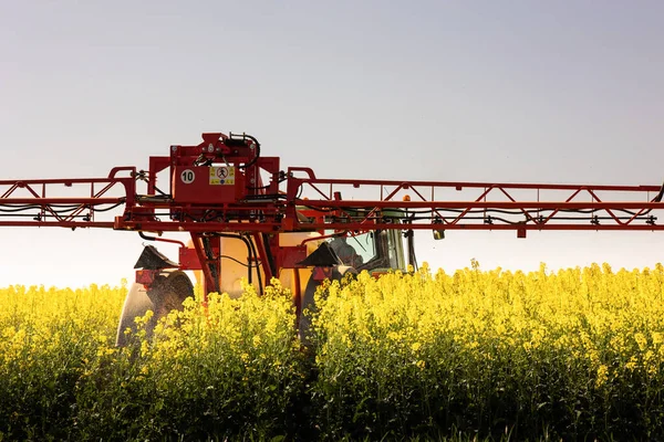 Trekker Machine Gebruikt Landbouw Sproeien Insecticide Canola Veld — Stockfoto