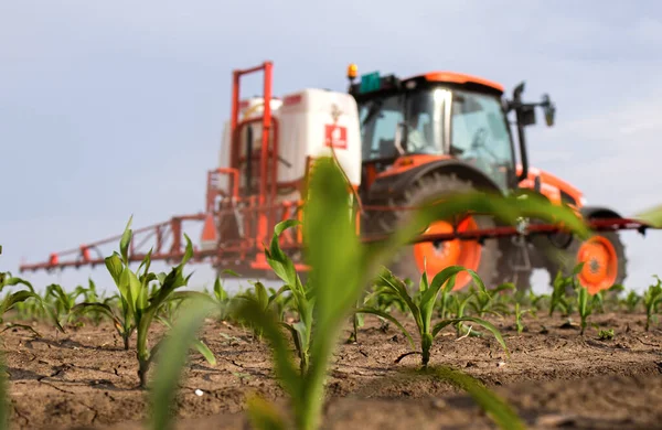Pulvérisation Pesticides Par Tracteur Sur Champ Maïs Avec Pulvérisateur Printemps — Photo
