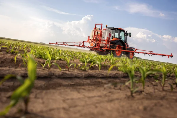stock image Tractor spraying pesticides on corn field  with sprayer at spring