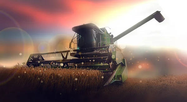 Harvester Working Wheatfield Sunset Harvest Ripe Wheat Agriculture Farming — Stockfoto