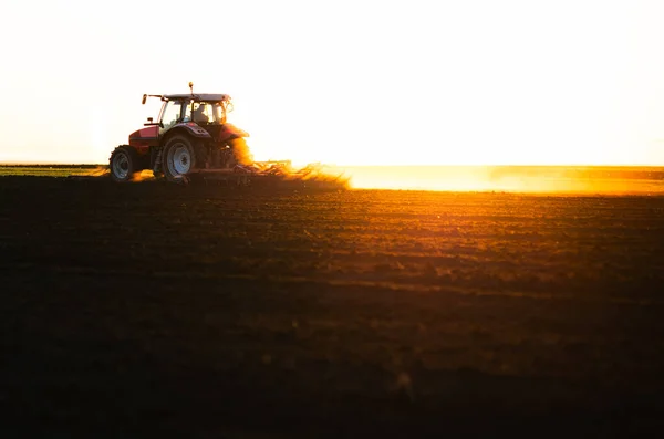 트랙터를 일하는 농부가해 가지기 때밭을 — 스톡 사진