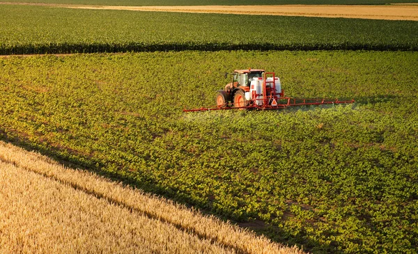 Трактор Проїжджає Через Зелене Поле Розбризкує Культури Пестицидами Фермерському Полі — стокове фото
