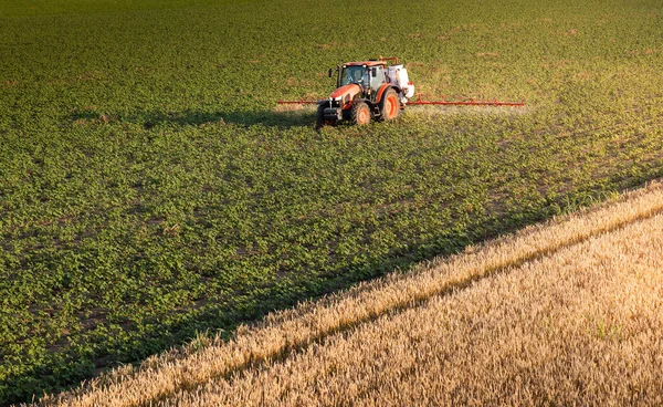 Traktor Projíždí Zeleným Polem Rozprašuje Plodiny Pesticidy Zemědělském Poli — Stock fotografie