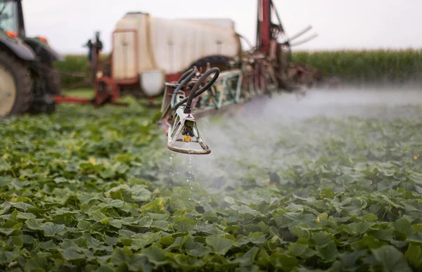 Traktor Penyemprotan Pestisida Ladang Sayuran Dengan Penyemprot Pada Musim Semi — Stok Foto