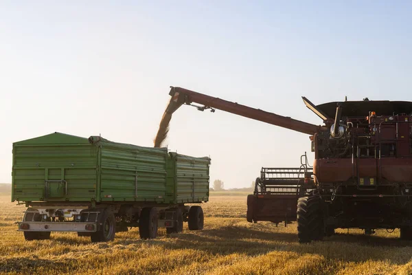 Комбинат Транспортировки Пшеницы Трейлер После Сбора Урожая — стоковое фото