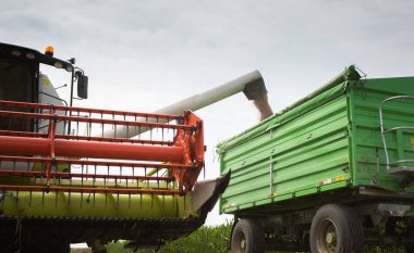 Hasattan sonra karavana buğday aktarımı