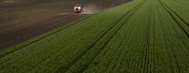 Kırmızı traktör yere böcek ilacı püskürtür.