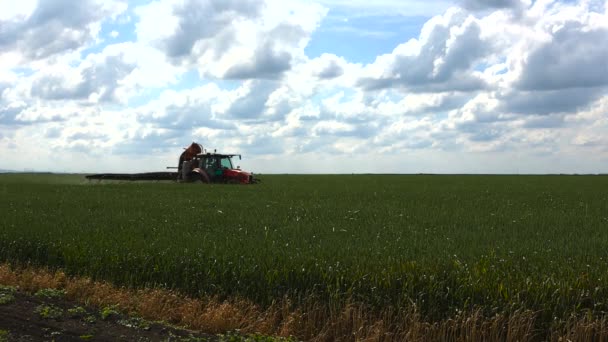 Tractor Die Pesticiden Spuit Een Groen Veld — Stockvideo