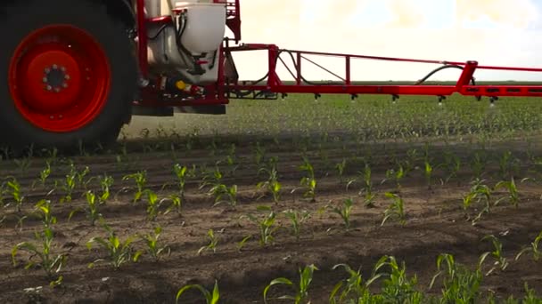 Крупным Планом Трактора Распыляющего Пестициды Кукурузное Поле Распылителем Весной — стоковое видео
