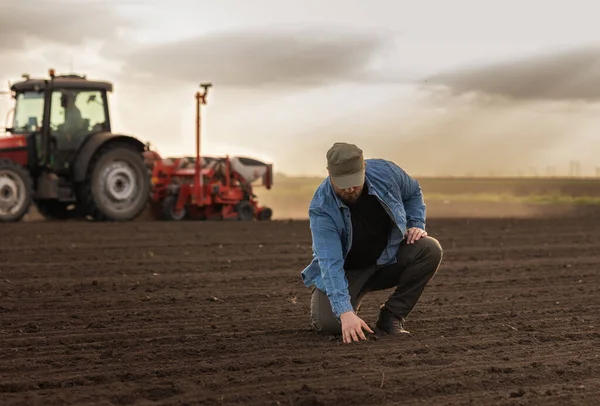 Satisfied Tractor Driver Work Agricultural Field Stands Next Tractor Farming Imágenes de stock libres de derechos