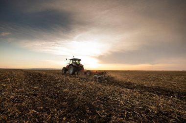 Traktörlü bir çiftçi güneş batarken tarlasını hazırlar.. 
