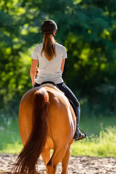 馬に乗っている若い女性は ロイヤリティフリーのストック画像