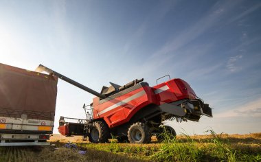 Hasattan sonra karavana buğday aktarımı