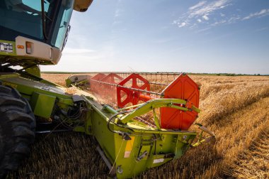 Buğday tarlasında çalışan bir biçerdöver.